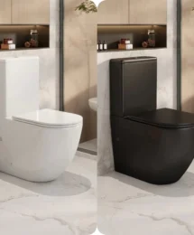 Mercio Norton Rimless Tornado Quiet Flush Back to Wall Toilet