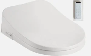 Stella Modern & Contemporary Smart Bidet Toilet eat with Remote Controller