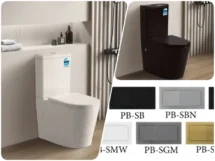 KDK022R Avis Rimless Round Back to Wall Faced Toilet Soft Close Seat S-/P-Trap
