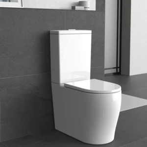 KDK028 ZEUS Rimless Tornado Back to Wall Faced Toilet Soft Close Seat S/P Trap