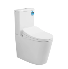 Rimless Toilets