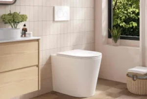 In-Wall/Concealed Toilets