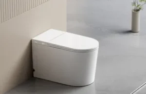 Smart Toilets & Seats