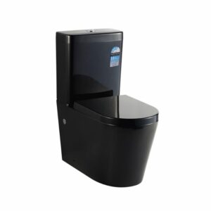 Kasey KDK008 Round Ceramic Back to Wall Faced Toilet w Soft Close Seat/ S&P Trap