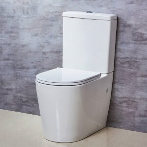 SNN Rimless Dual Flush Back to Wall Faced Toilet Soft Close