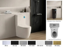 KDK025 Veda Tornado Quiet Flush Back to Wall Toilet White / Black