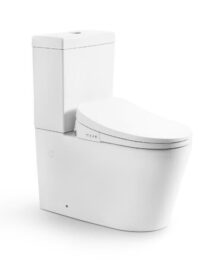 Stella Smart Bidet Toilet up to 255mm S-trap Back to Wall with Remote Controller